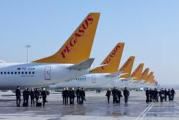  Pegasus Airlines  100  Airbus