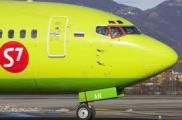 S7 Airlines      50 