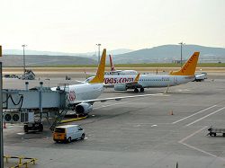 Pegasus Airlines      15 