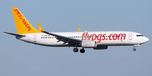    Pegasus Airlines    . 